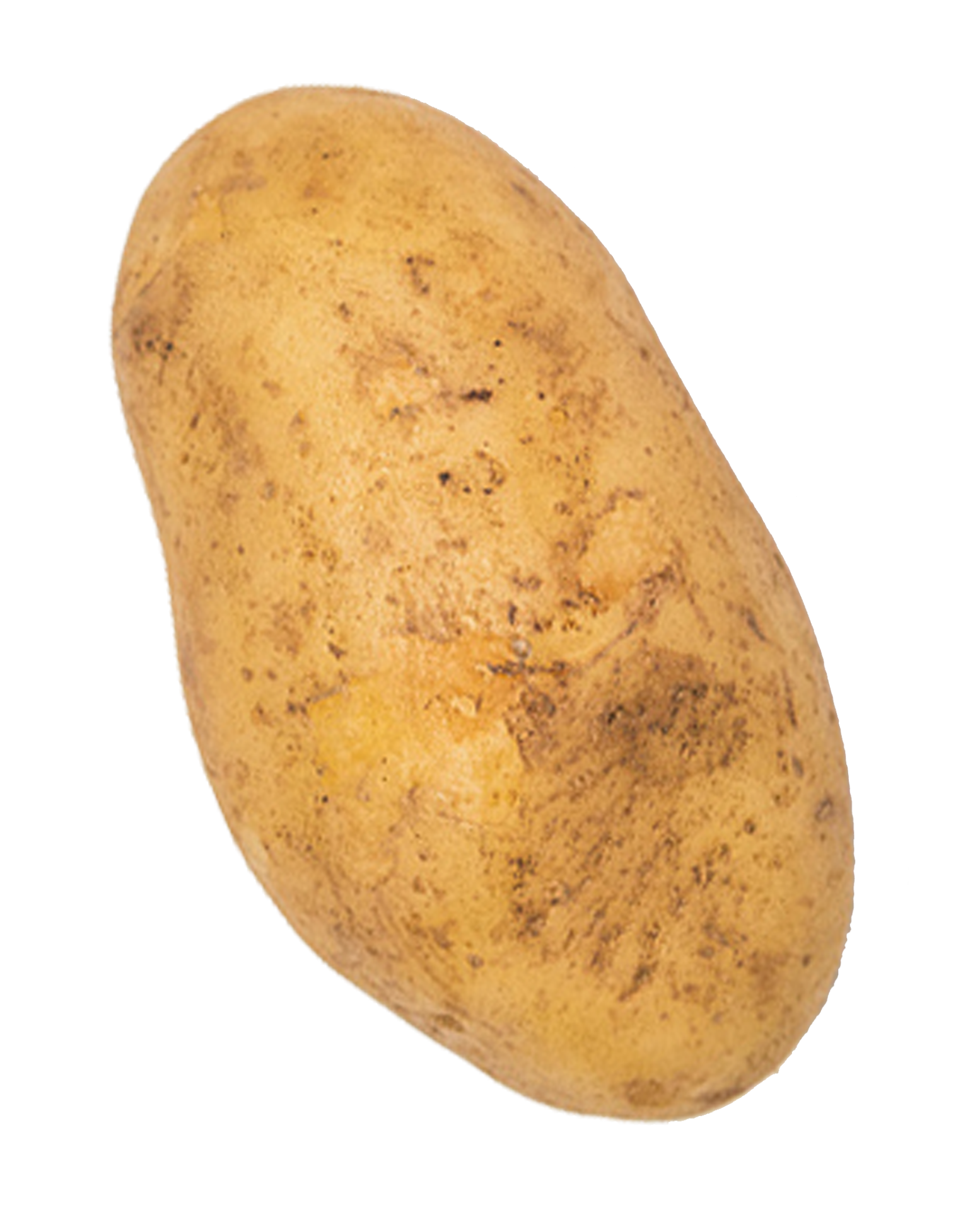 Single Potato